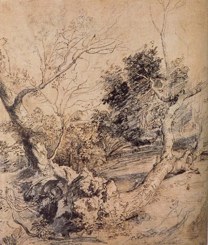 Peter Paul Rubens Forest landscape
